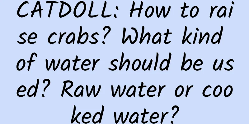 CATDOLL: How to raise crabs? What kind of water should be used? Raw water or cooked water?