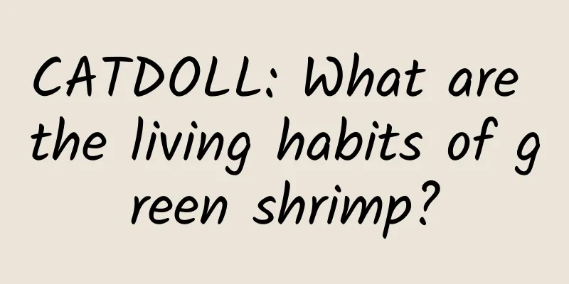 CATDOLL: What are the living habits of green shrimp?