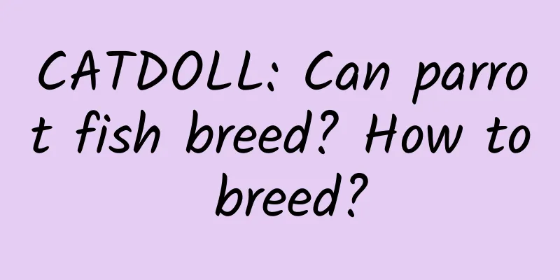 CATDOLL: Can parrot fish breed? How to breed?