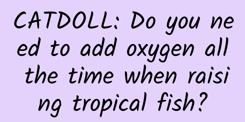 CATDOLL: Do you need to add oxygen all the time when raising tropical fish?