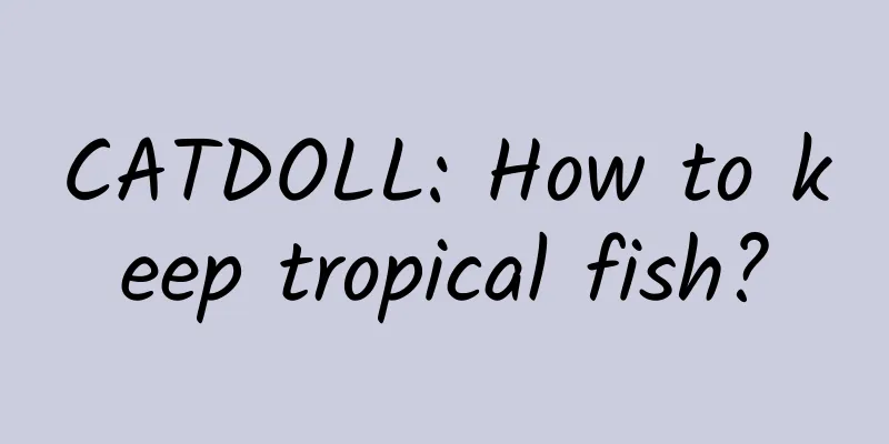 CATDOLL: How to keep tropical fish?