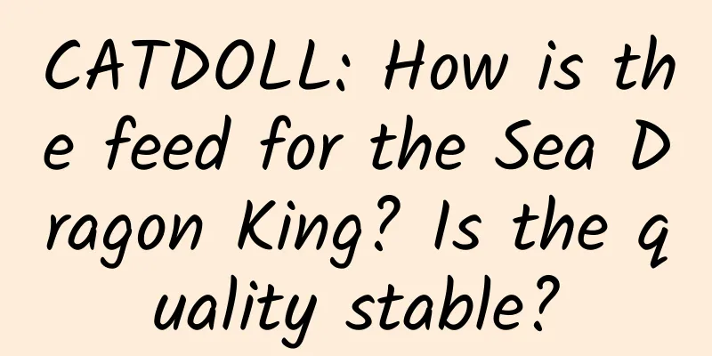 CATDOLL: How is the feed for the Sea Dragon King? Is the quality stable?