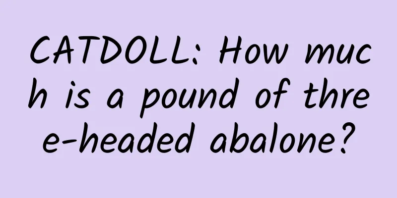 CATDOLL: How much is a pound of three-headed abalone?