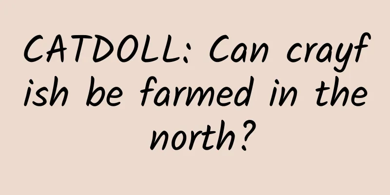 CATDOLL: Can crayfish be farmed in the north?