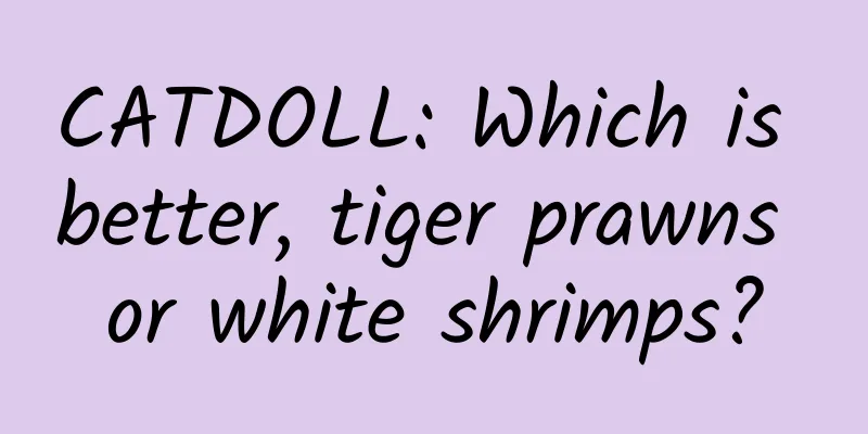 CATDOLL: Which is better, tiger prawns or white shrimps?