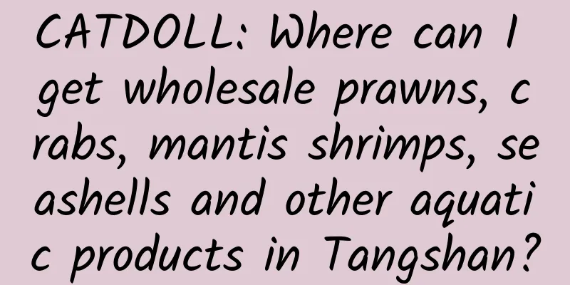 CATDOLL: Where can I get wholesale prawns, crabs, mantis shrimps, seashells and other aquatic products in Tangshan?