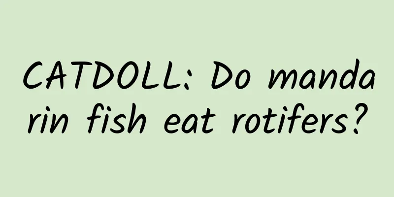 CATDOLL: Do mandarin fish eat rotifers?