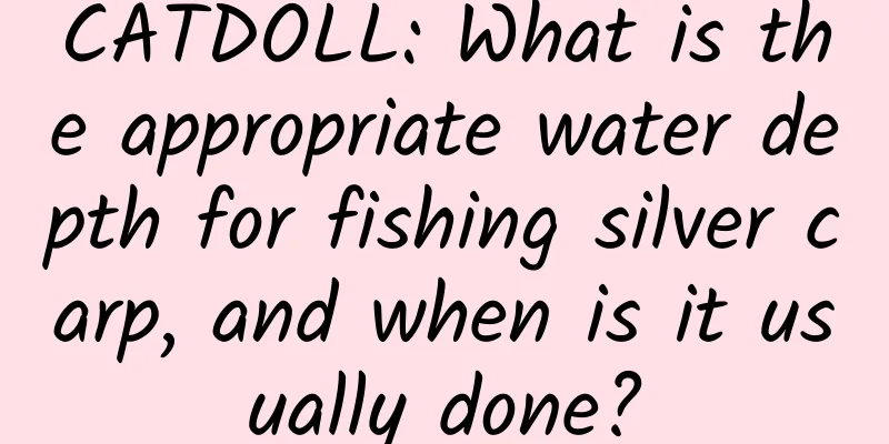 CATDOLL: What is the appropriate water depth for fishing silver carp, and when is it usually done?