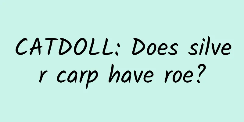 CATDOLL: Does silver carp have roe?