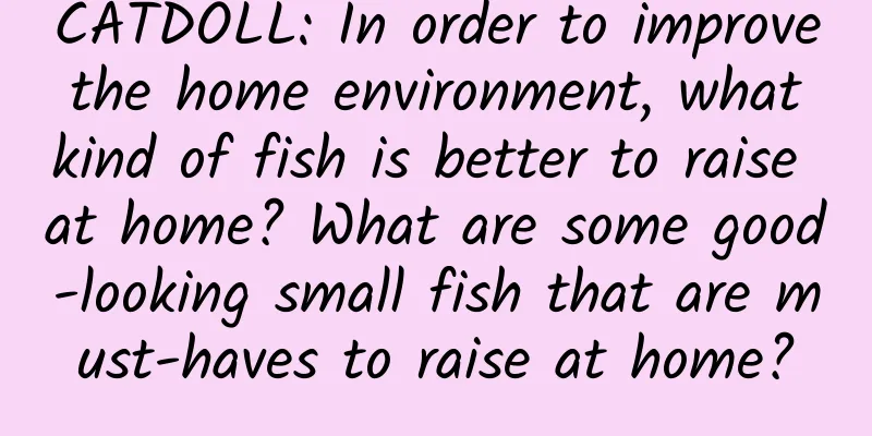 CATDOLL: In order to improve the home environment, what kind of fish is better to raise at home? What are some good-looking small fish that are must-haves to raise at home?