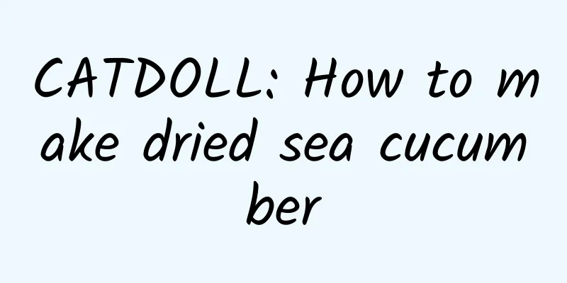 CATDOLL: How to make dried sea cucumber