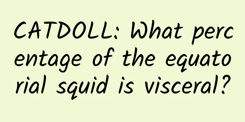 CATDOLL: What percentage of the equatorial squid is visceral?