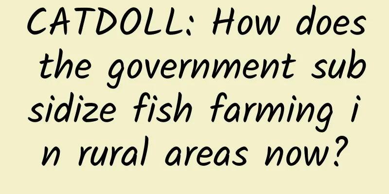 CATDOLL: How does the government subsidize fish farming in rural areas now?