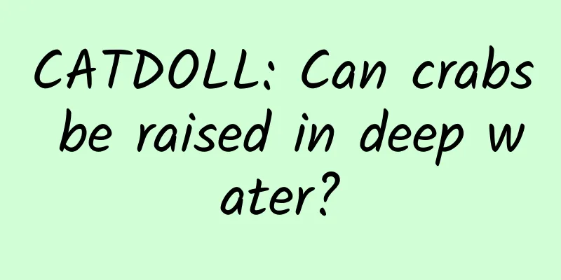 CATDOLL: Can crabs be raised in deep water?