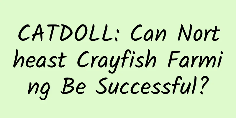 CATDOLL: Can Northeast Crayfish Farming Be Successful?