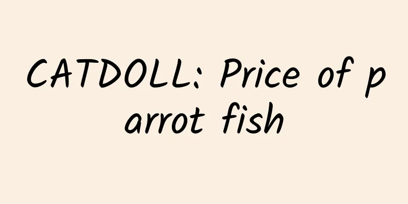 CATDOLL: Price of parrot fish