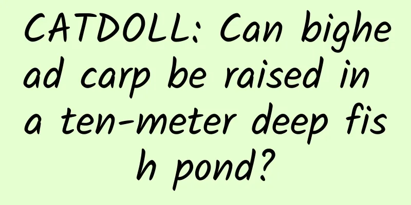 CATDOLL: Can bighead carp be raised in a ten-meter deep fish pond?