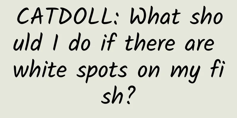 CATDOLL: What should I do if there are white spots on my fish?