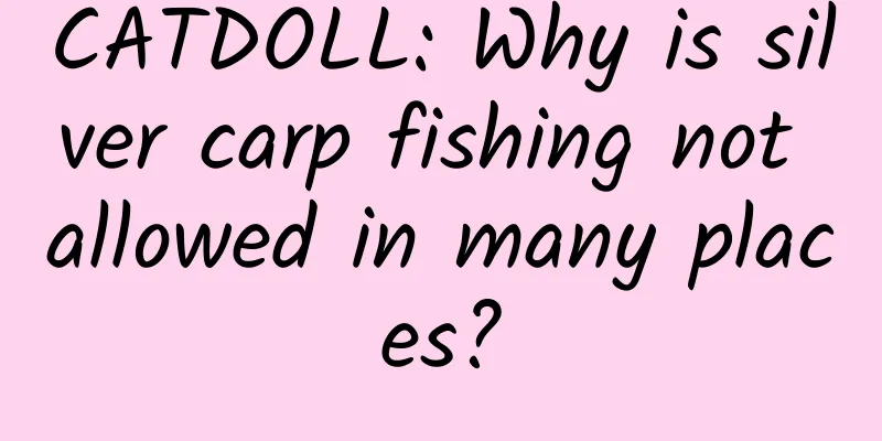 CATDOLL: Why is silver carp fishing not allowed in many places?