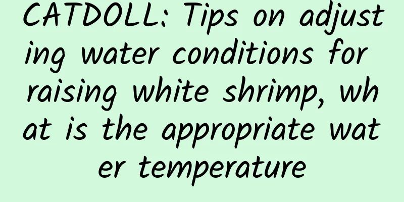 CATDOLL: Tips on adjusting water conditions for raising white shrimp, what is the appropriate water temperature