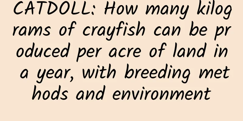CATDOLL: How many kilograms of crayfish can be produced per acre of land in a year, with breeding methods and environment
