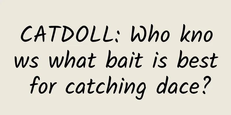 CATDOLL: Who knows what bait is best for catching dace?