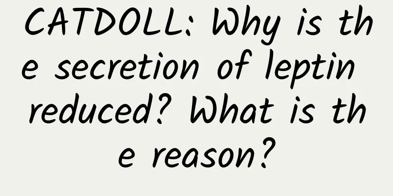 CATDOLL: Why is the secretion of leptin reduced? What is the reason?