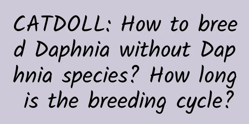 CATDOLL: How to breed Daphnia without Daphnia species? How long is the breeding cycle?