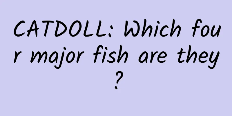 CATDOLL: Which four major fish are they?