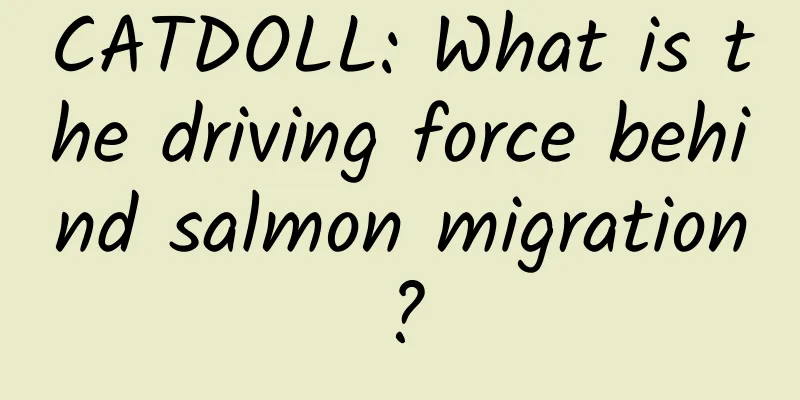 CATDOLL: What is the driving force behind salmon migration?