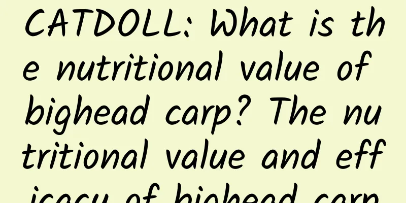 CATDOLL: What is the nutritional value of bighead carp? The nutritional value and efficacy of bighead carp