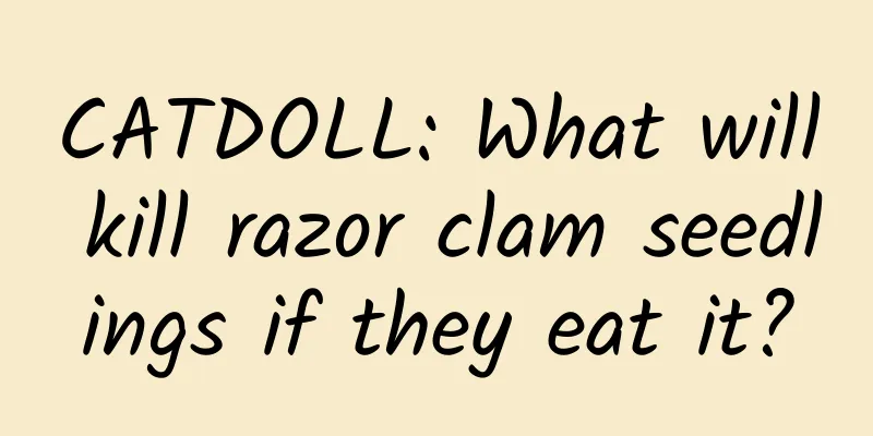CATDOLL: What will kill razor clam seedlings if they eat it?