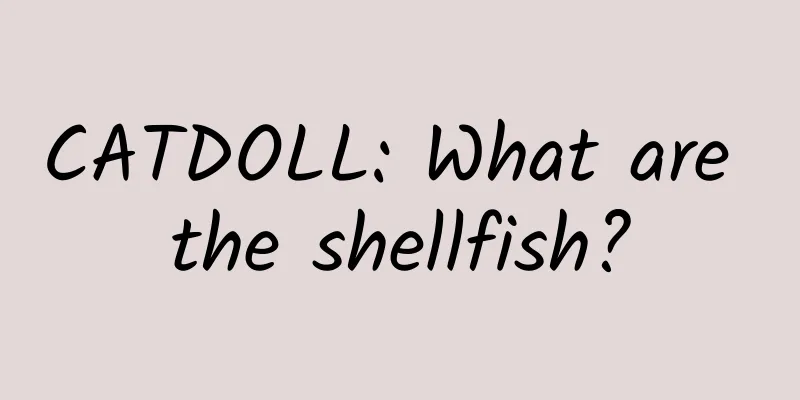 CATDOLL: What are the shellfish?