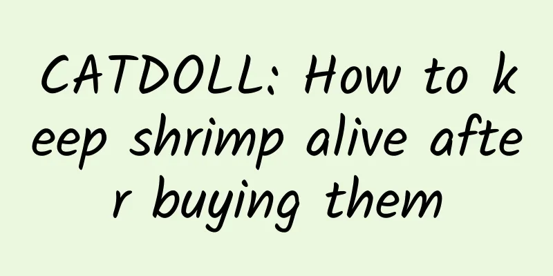 CATDOLL: How to keep shrimp alive after buying them