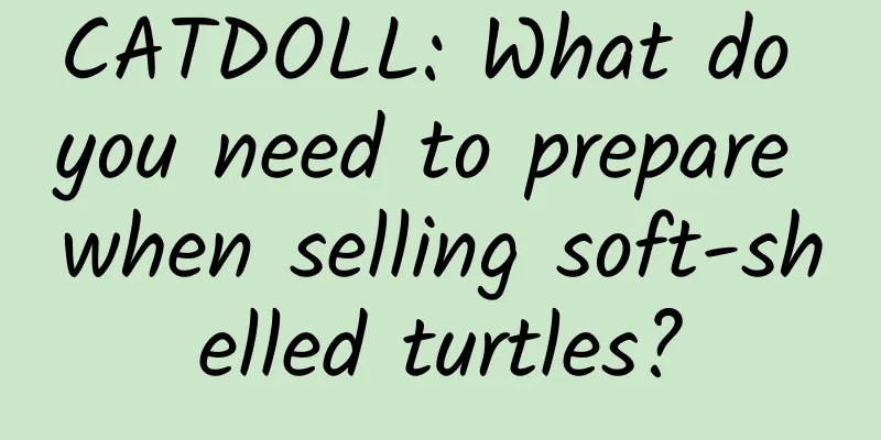 CATDOLL: What do you need to prepare when selling soft-shelled turtles?