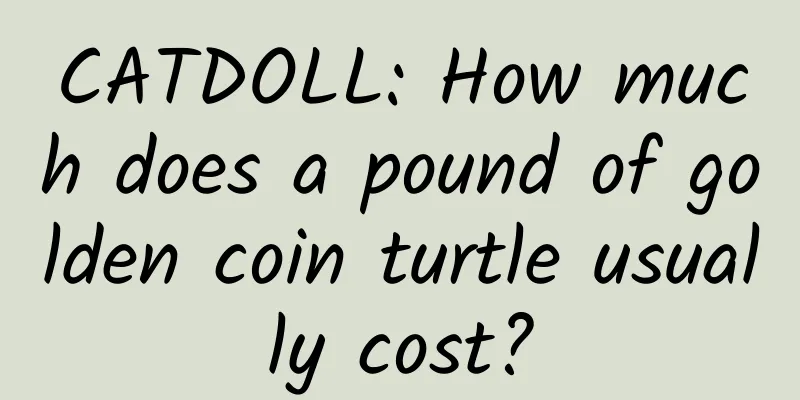 CATDOLL: How much does a pound of golden coin turtle usually cost?