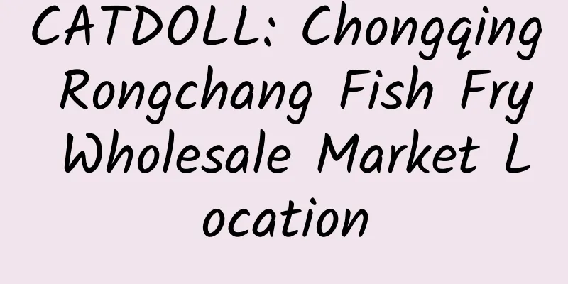 CATDOLL: Chongqing Rongchang Fish Fry Wholesale Market Location