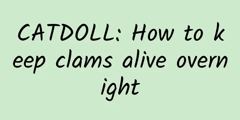 CATDOLL: How to keep clams alive overnight