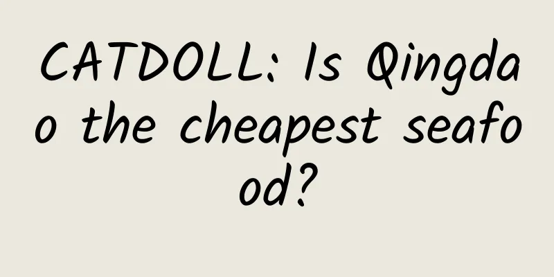CATDOLL: Is Qingdao the cheapest seafood?