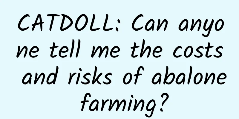 CATDOLL: Can anyone tell me the costs and risks of abalone farming?