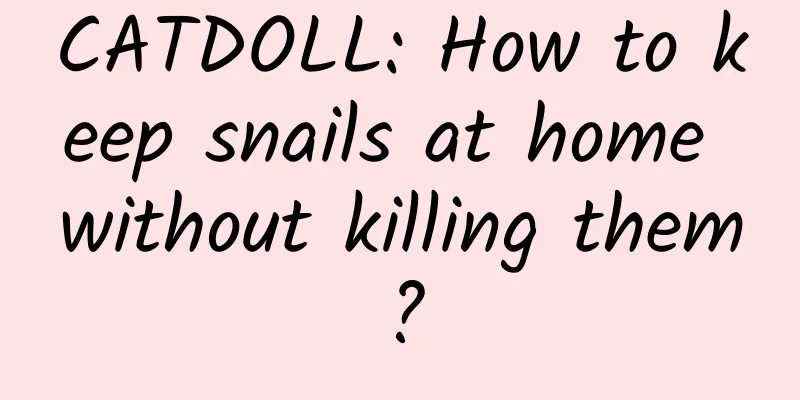 CATDOLL: How to keep snails at home without killing them?