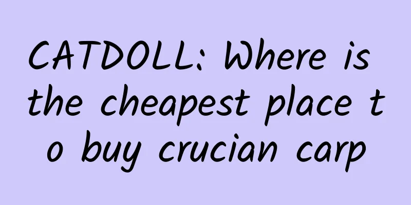 CATDOLL: Where is the cheapest place to buy crucian carp