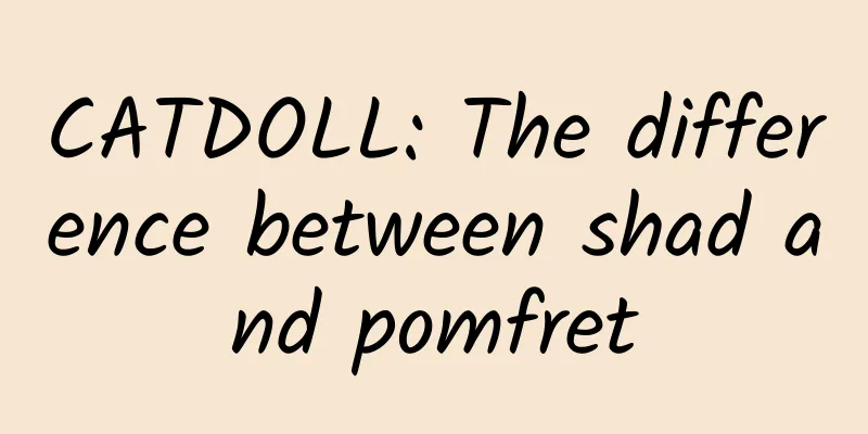 CATDOLL: The difference between shad and pomfret