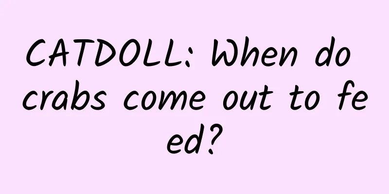 CATDOLL: When do crabs come out to feed?