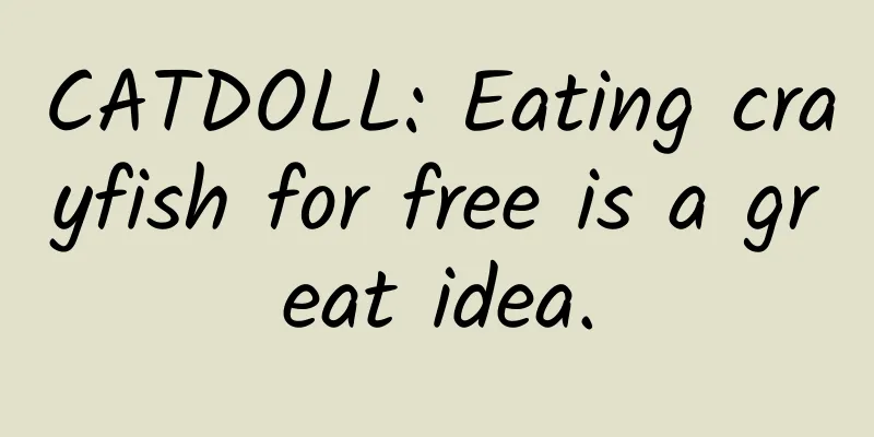 CATDOLL: Eating crayfish for free is a great idea.