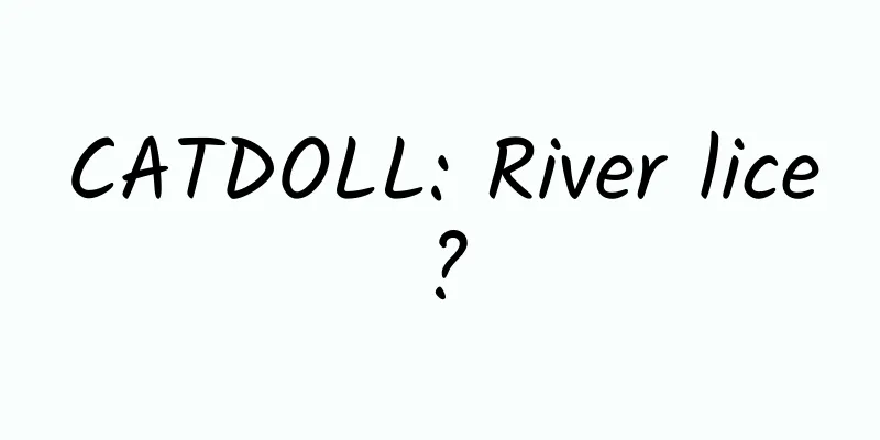CATDOLL: River lice?