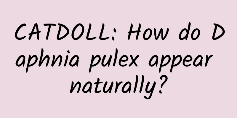 CATDOLL: How do Daphnia pulex appear naturally?