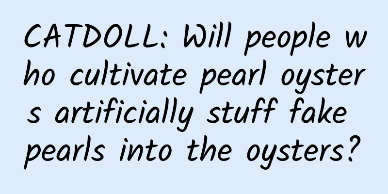 CATDOLL: Will people who cultivate pearl oysters artificially stuff fake pearls into the oysters?