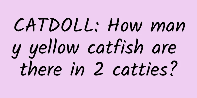 CATDOLL: How many yellow catfish are there in 2 catties?
