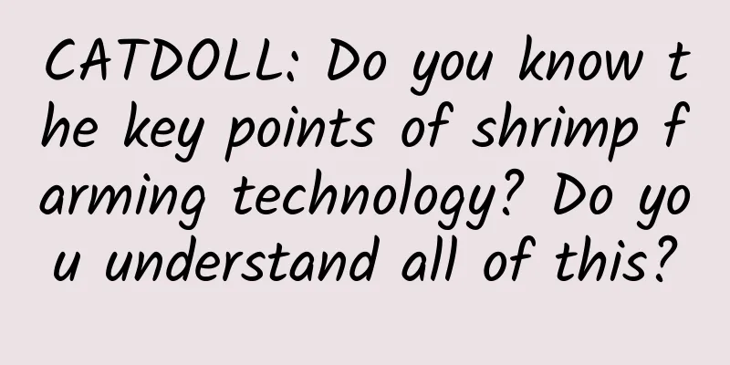 CATDOLL: Do you know the key points of shrimp farming technology? Do you understand all of this?